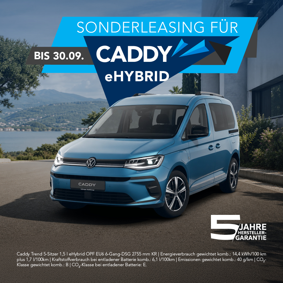 HM VW Nutzfahrzeuge eHybrid HM VW Nutzfahrzeuge eHybrid