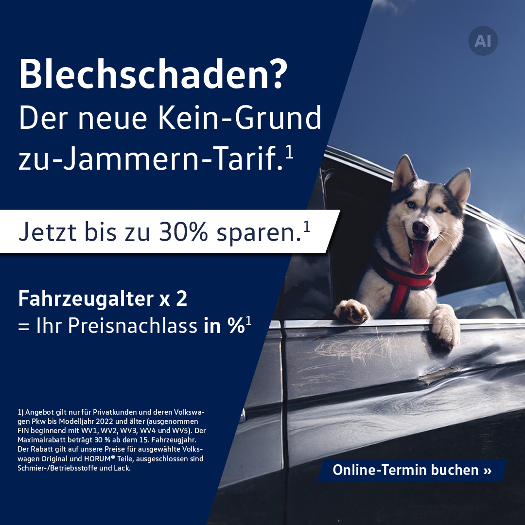 BB Online VW Service Aktion x2